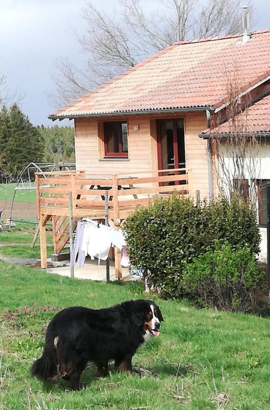 Gite La Ferme De Baffour La Chaise-Dieu Kültér fotó